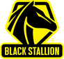 Black Stallion